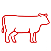 Snake River Farms icon