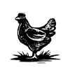 CHICKEN