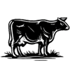 BEEF